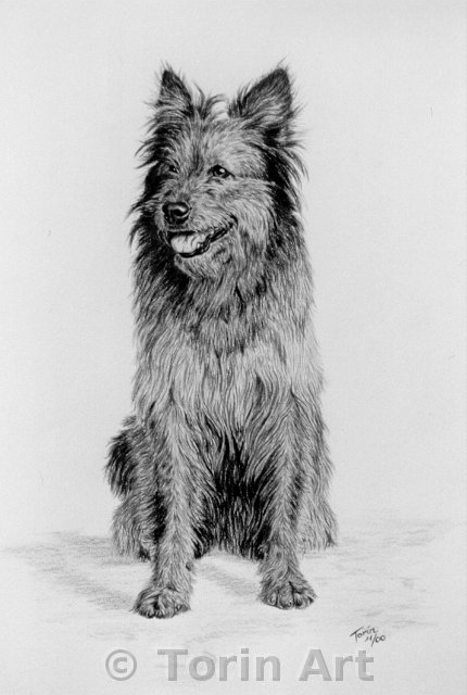 05-hund11-00.jpg