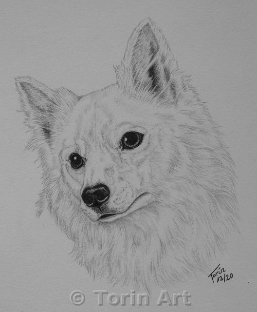 44-Spitz.jpg
