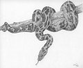 06_schlange-ast